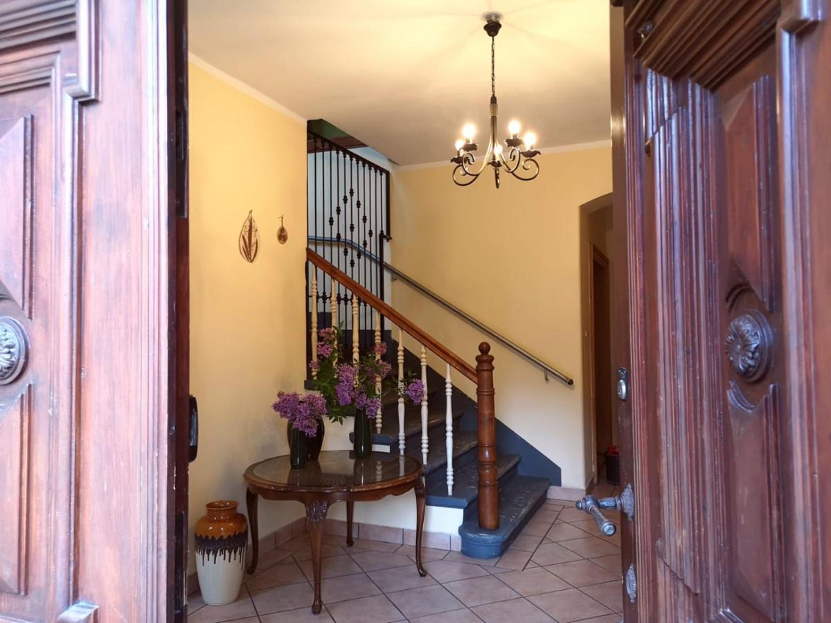 Hotel Pokoje W Starym Mlynie Kudowa-Zdrój Esterno foto